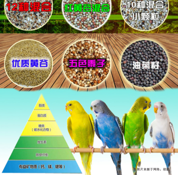廣州進口加拿大寵物飼料清關流程