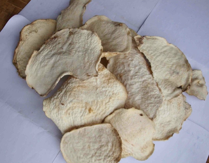 印度尼西亞魔芋干進(jìn)口報關(guān)