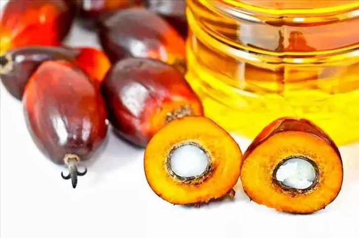 天津棕櫚油進(jìn)口清關(guān)費(fèi)用