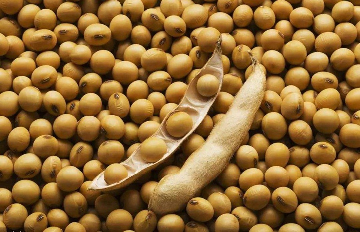 巴西大豆進口清關代理公司