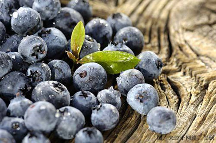 食品進口報關單證，藍莓濃縮粉怎么進口？