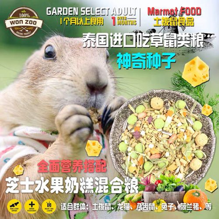 動物飼料進(jìn)口報關(guān)流程
