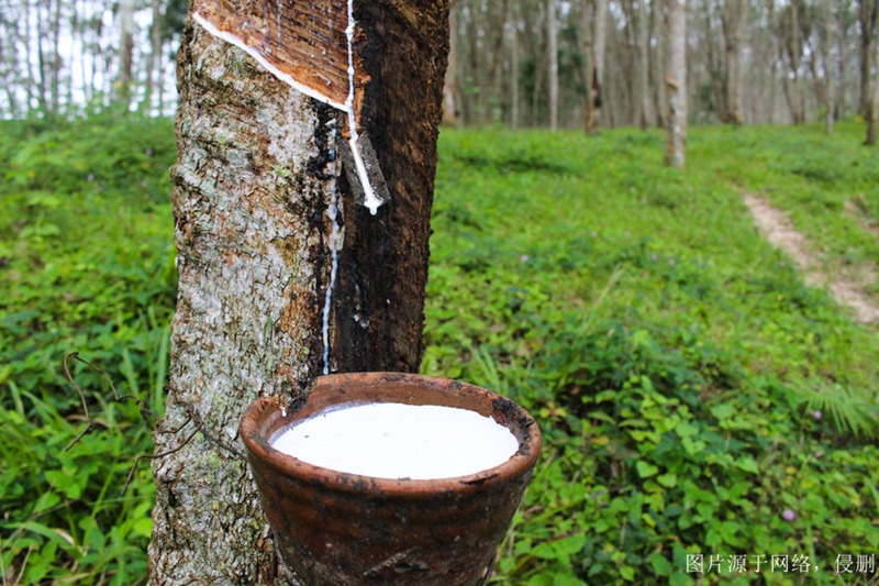 越南天然橡膠怎么進(jìn)口報關(guān)清關(guān)_流程只需要這7點