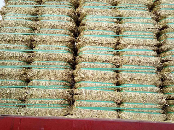 澳大利亞燕麥草進口報關資料_飼料清關注意事項