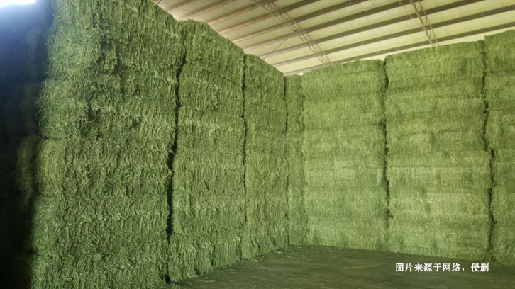 進口意大利苜蓿草報關(guān)流程