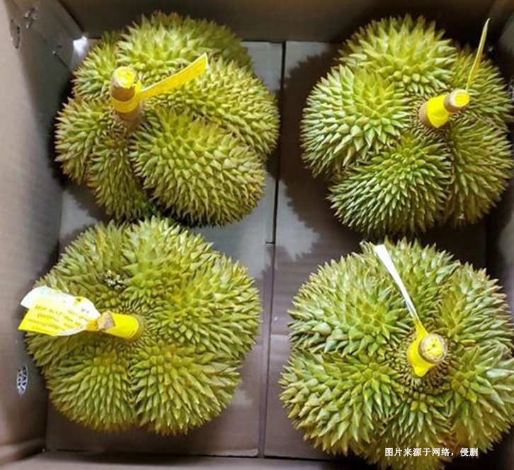 深圳機場進(jìn)口泰國榴蓮報關(guān)資料