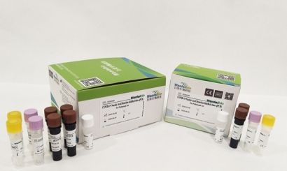 美國進口生物試劑報關常見問題，你要了解的