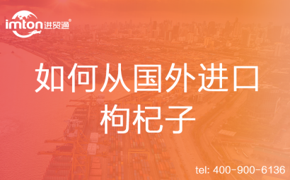 如何從國(guó)外進(jìn)口枸杞子