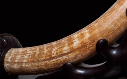 猛犸象牙進(jìn)口報(bào)關(guān)流程以及稅率是怎樣的？