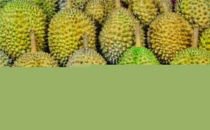 馬來西亞榴蓮進口報關代理一站式服務公司-全國聯(lián)網為您服務