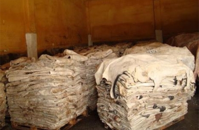 鹽濕皮進口清關(guān)的流程以及所需資料，請查收!