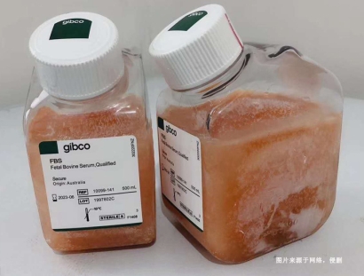 進口新西蘭牛血清蛋白報關資質-19年生物制品報關行