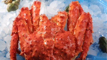 青島進口俄羅斯帝王蟹清關(guān)流程-水產(chǎn)品報關(guān)行