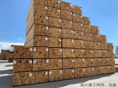 白俄羅斯進口報關公司哪家好？白俄羅斯木材清關流程