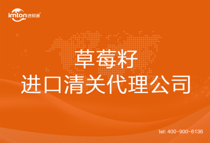 草莓籽進口清關代理公司