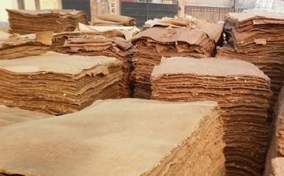 進口紙漿報關之前必看的知識點，進口商注意啦！