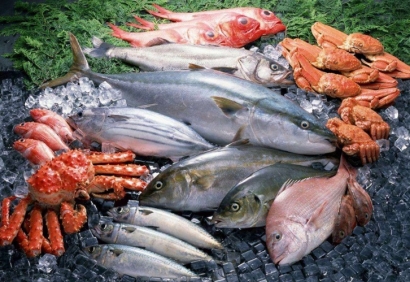 清關公司：進口冷凍海鮮報關需要什么手續(xù)資料