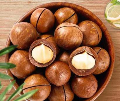 廣州進口泰國夏威夷果報關資料-19年堅果進口報關行