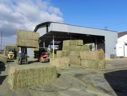 天津苜蓿草進口報關公司：苜蓿草進口資質(zhì)資料