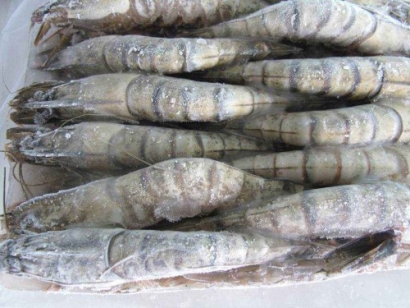 這是一家有著15年海鮮進(jìn)口報關(guān)經(jīng)驗(yàn)的代理公司