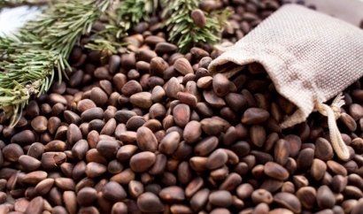 松子進(jìn)口清關(guān)公司 一站式進(jìn)口代理服務(wù)