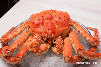 福州螃蟹進口報關公司哪家好？福建水產品進口報關行