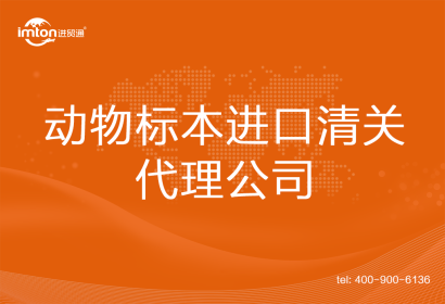 動物標本進口清關代理公司