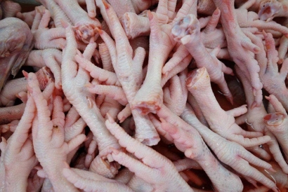 深圳鹽田進口白俄羅斯雞爪清關(guān)流程代理冷凍肉案例