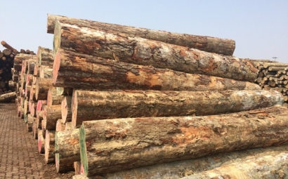 原木進口清關上海代理公司-國內外需提供的清關資料