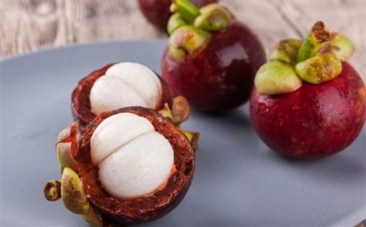 進(jìn)口山竹果清關(guān)需提供給報(bào)關(guān)代理公司的資料