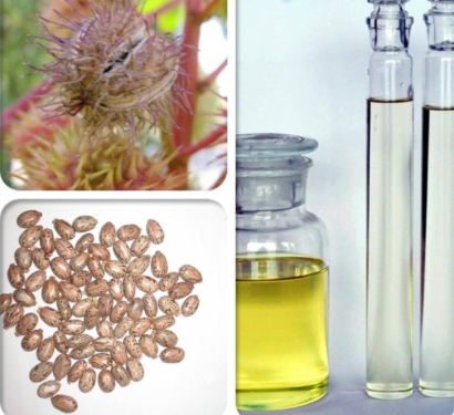 蓖麻油進(jìn)口關(guān)稅_蓖麻油進(jìn)口報(bào)關(guān)申報(bào)所需文件