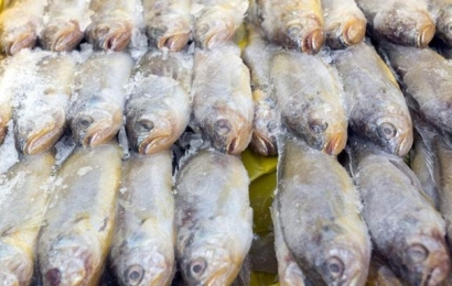 青島冷凍魚進(jìn)口清關(guān)實(shí)用知識(shí)，建議看看