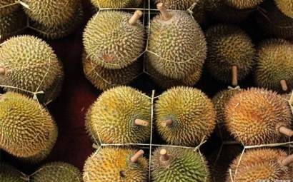 進口泰國榴蓮報關提前準備好這些資料，一點都不難