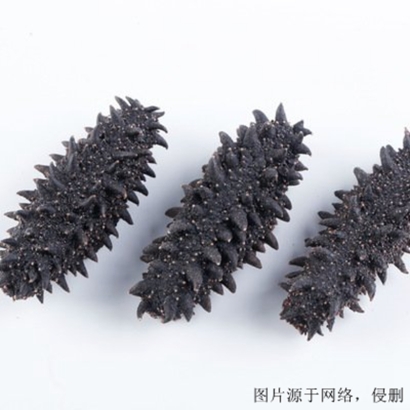 挪威進(jìn)口海參清關(guān)怎么辦理_海參進(jìn)口報(bào)關(guān)流程資料