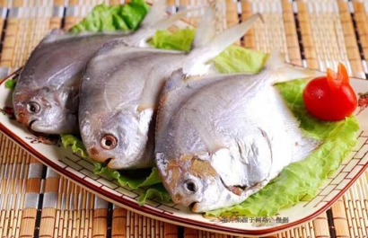 廣州南沙凍鯧魚進口報關資料_厄瓜多爾準入水產品