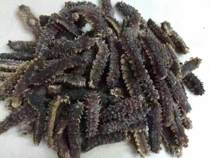 印尼海參進口清關公司告訴你海參進口報關手續(xù)