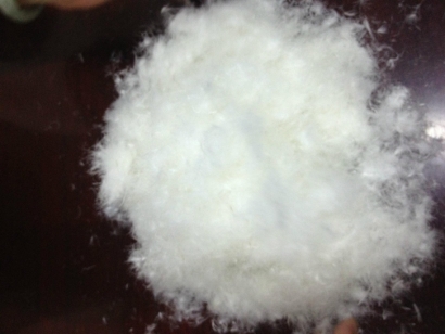 波蘭羽絨進(jìn)口報關(guān)流程_波蘭準(zhǔn)入水洗羽絨羽毛企業(yè)