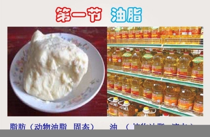 動物油脂進口報關(guān)代理難點以及所需資料