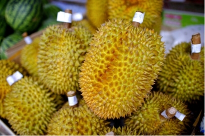 馬來西亞進口榴蓮清關，海關檢驗檢疫要求