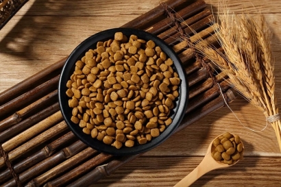 如何從國(guó)外進(jìn)口貓糧