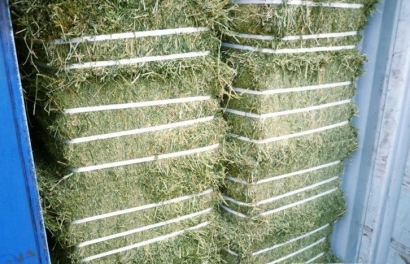 加拿大梯牧草進口報關(guān)流程_準入植物源性飼料種類