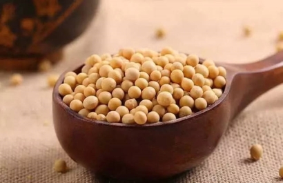 青島港大豆清關(guān)找17年經(jīng)驗的廣州臻力公司