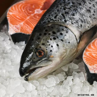 廈門冷凍食品進(jìn)口報(bào)關(guān)清關(guān)指南-19年冷凍食品進(jìn)口報(bào)關(guān)行