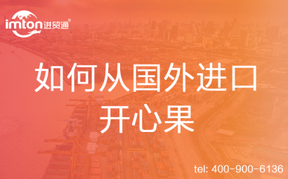 如何從國外進口開心果