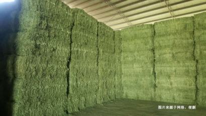 進(jìn)口加拿大苜蓿草報關(guān)資料_牲畜飼料通關(guān)檢疫要求