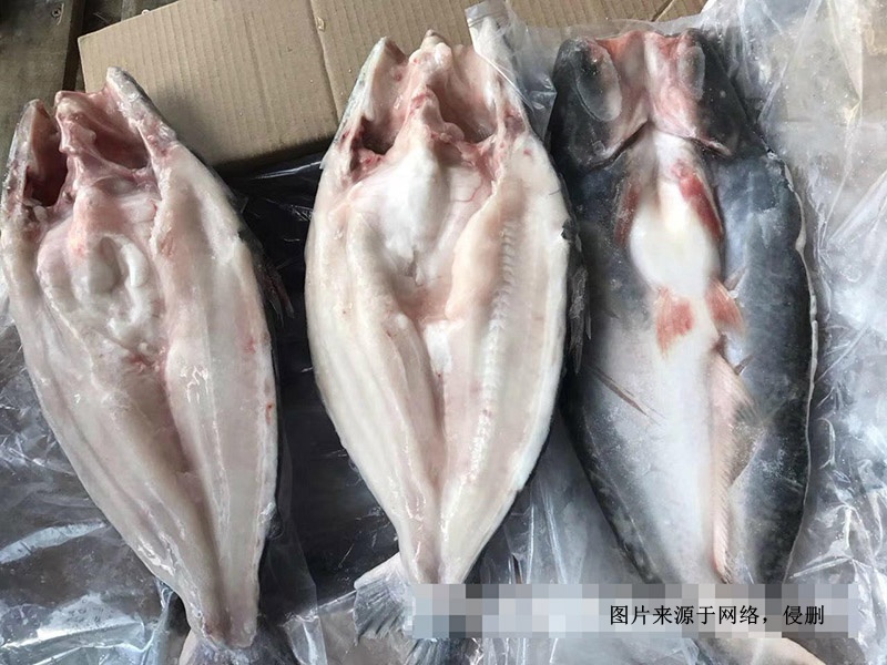 越南冷凍巴沙魚(yú)進(jìn)口報(bào)關(guān)資料 越南冷凍巴沙魚(yú)進(jìn)口報(bào)關(guān)資料