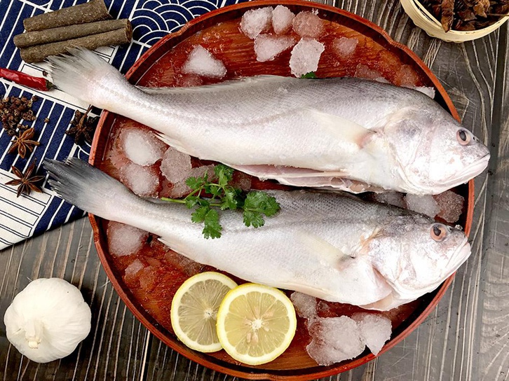 廣州冷凍魚進口清關流程 廣州冷凍魚進口清關流程