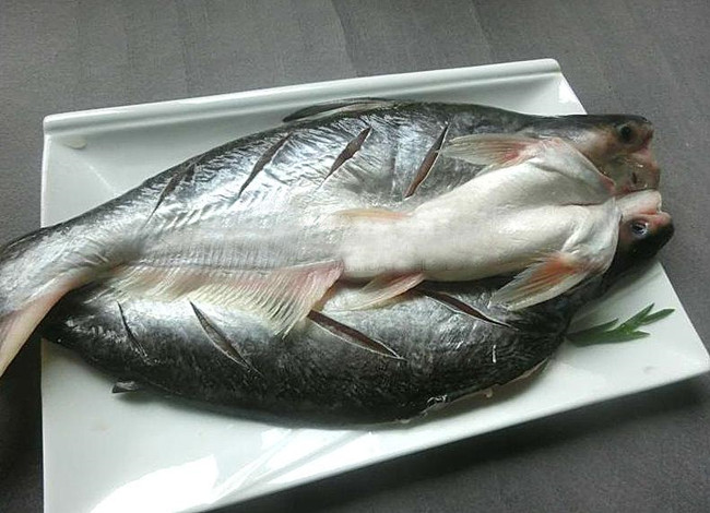 馬來西亞冷凍黑虎蝦進(jìn)口報(bào)關(guān) 馬來西亞冷凍黑虎蝦進(jìn)口報(bào)關(guān)