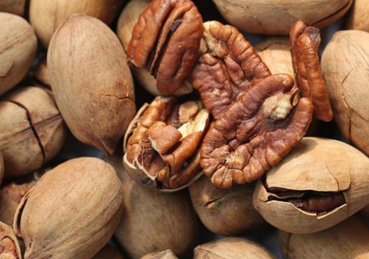 墨西哥碧根果進口清關流程 墨西哥碧根果進口清關流程