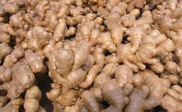 【生姜進口報關(guān)代理公司】告訴你生姜進口流程 生姜進口報關(guān)代理公司